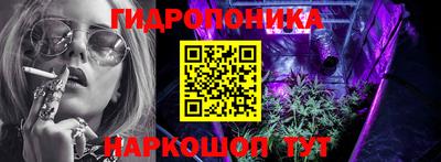 индика Рузаевка